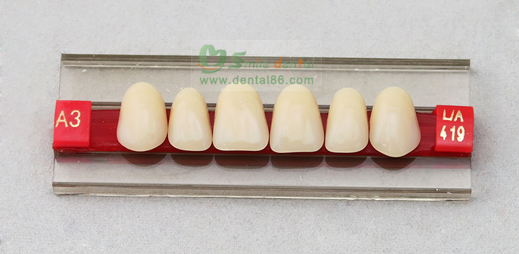 Two layer Acrylic Resin Teeth